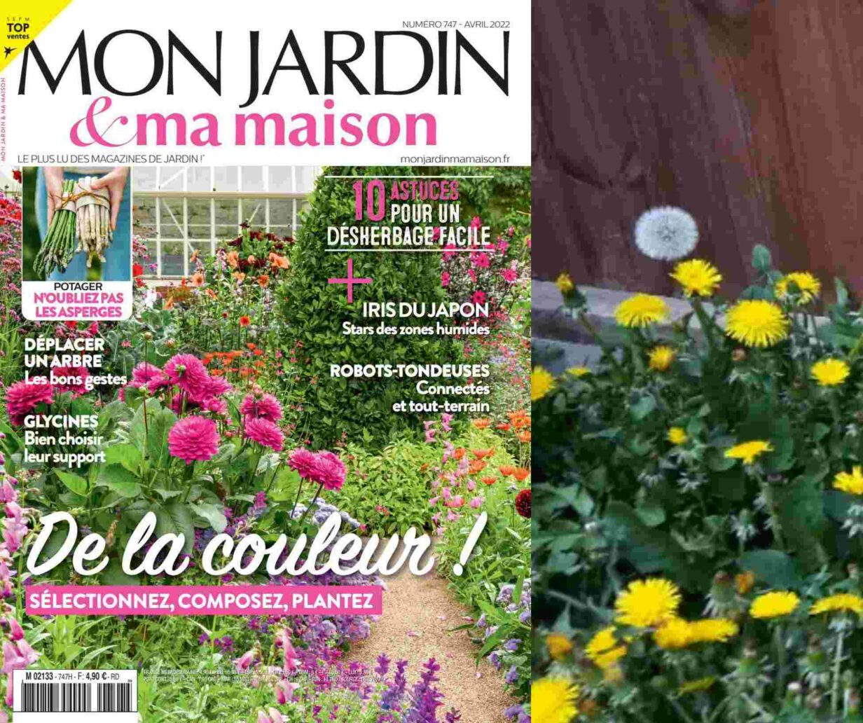 1) 3 méthodes qui marchent pour bien désherber ... 2) Comment détruire le pissenlit dans la pelouse ? ...