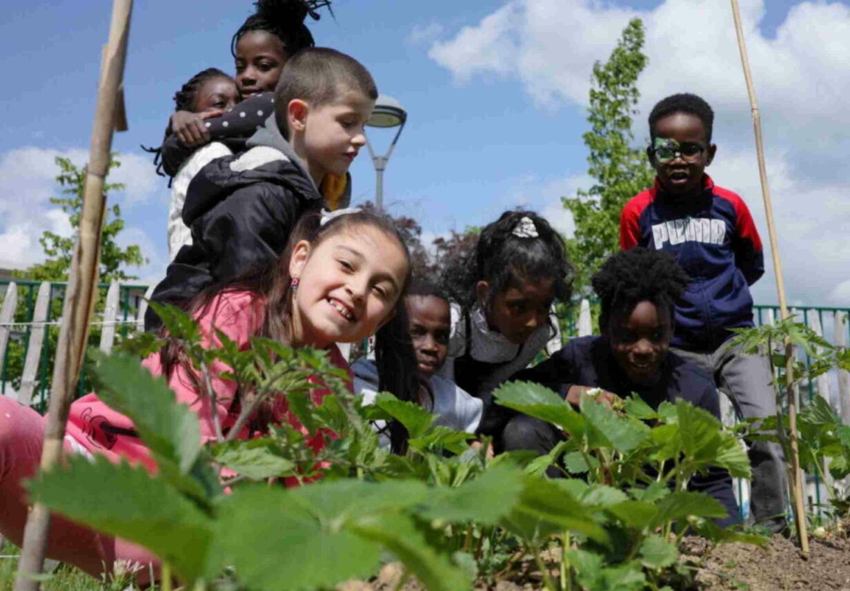 1) À Évreux, les écoliers apprennent à faire pousser fruits et ... 2) La recette de