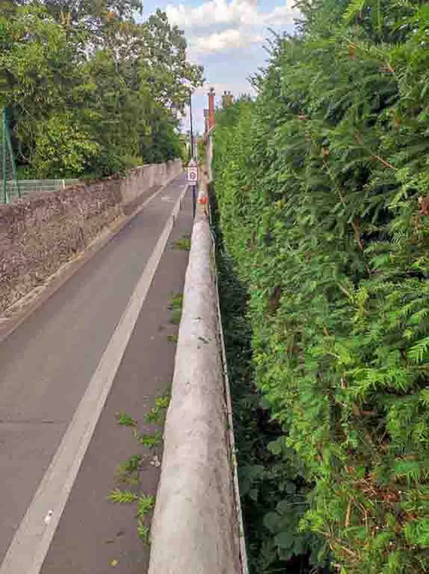 taille d'une haie le long d'une rue déserte