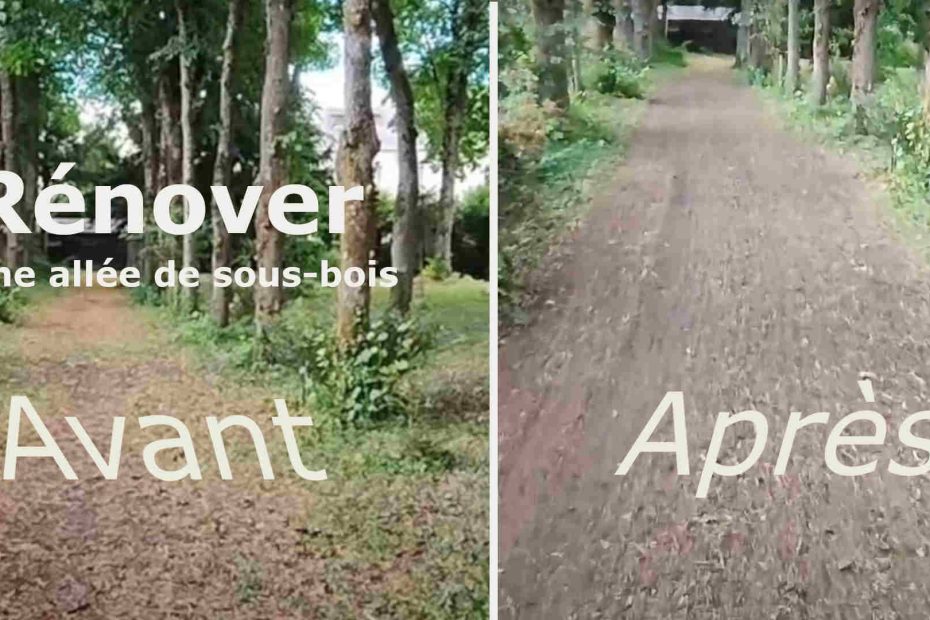 rénover une allée de sous bois