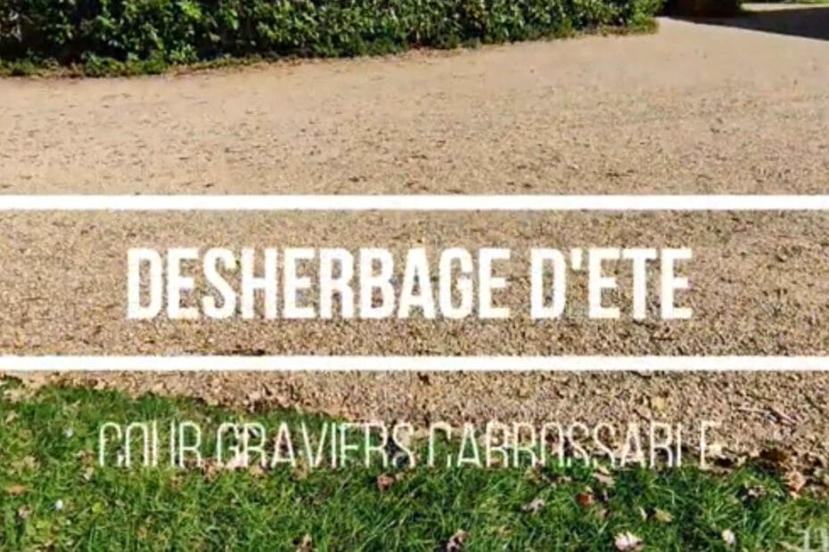 desherbage d été sur gravier