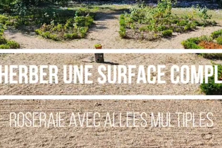 DESHERBER ALL2ES GRAVIER ROSERAIE